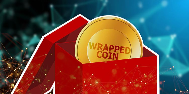 What’s Wrapped Token or Coin?